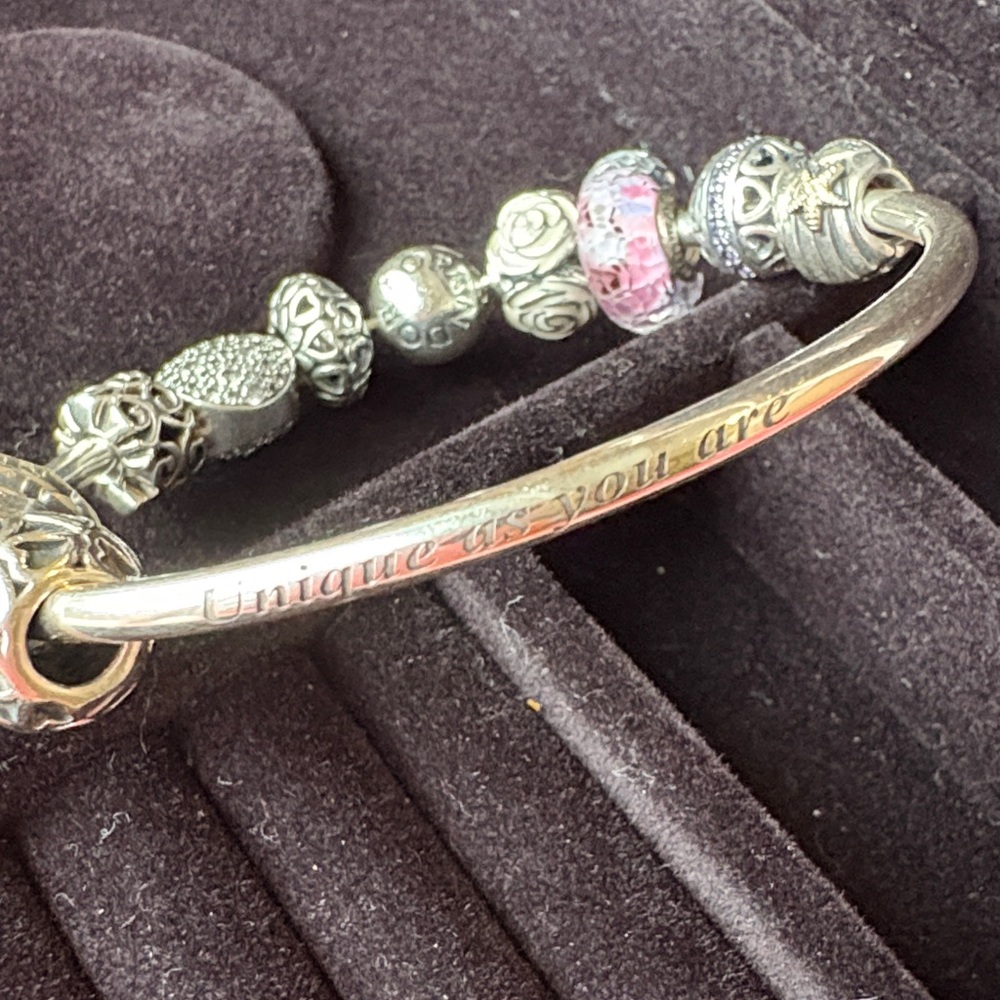 Pandora bracelet and case